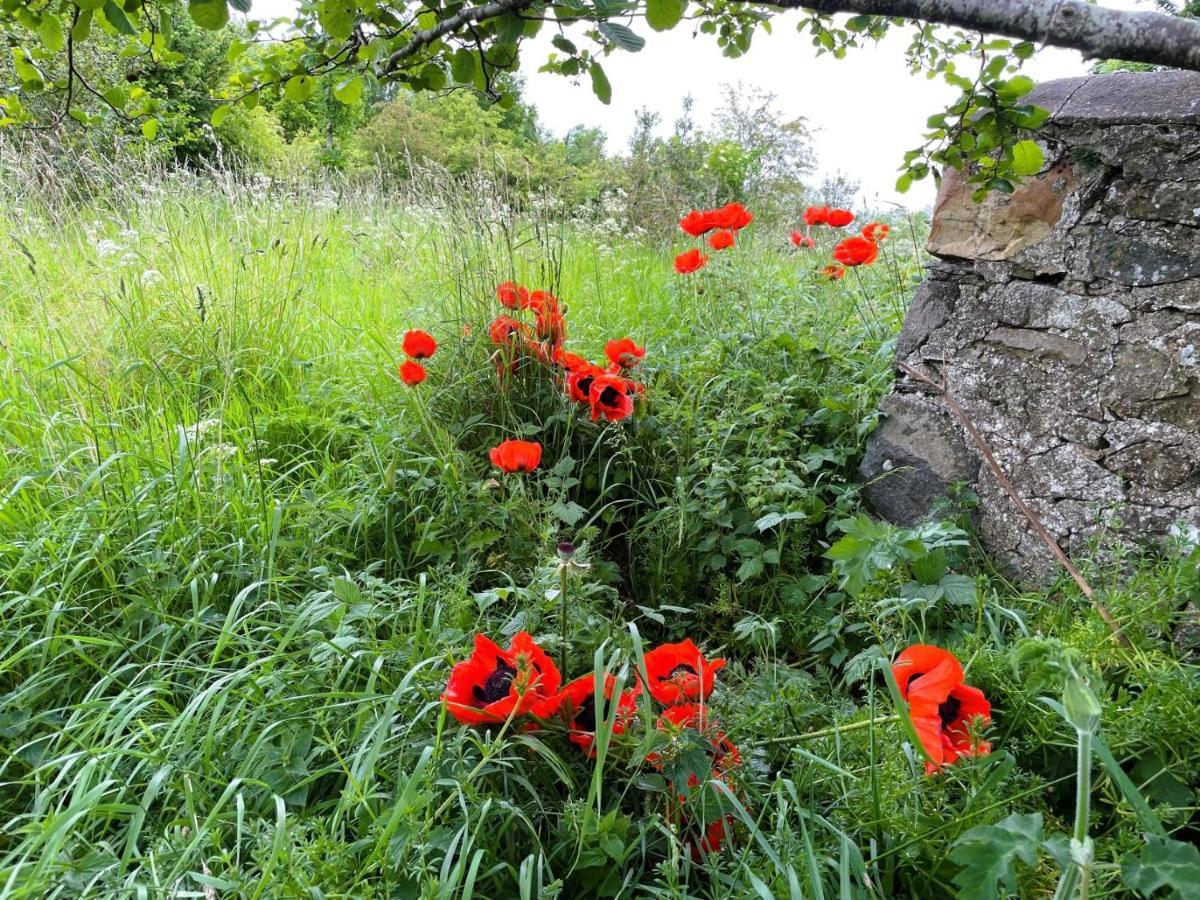 Deveron Valley Cottages Marnoch Екстериор снимка