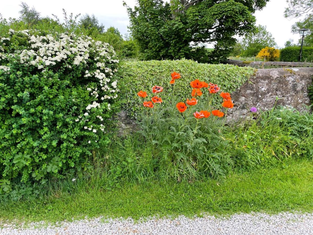 Deveron Valley Cottages Marnoch Екстериор снимка